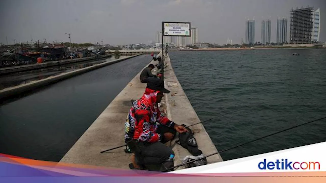 Jakarta Bisa Selamat dari Ancaman Tenggelam Tanpa Giant Sea Wall?