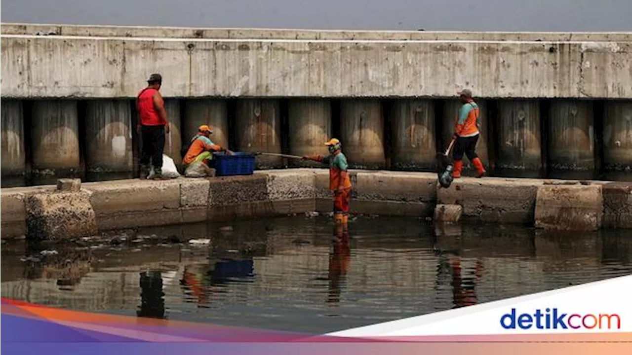 Seberapa Penting Proyek Giant Sea Wall Dibangun di Pesisir Jakarta?