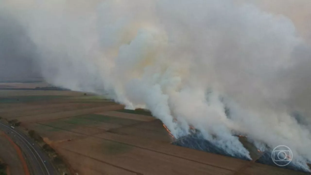 Ministério da Defesa vai enviar aviões para combater incêndios no interior de SP