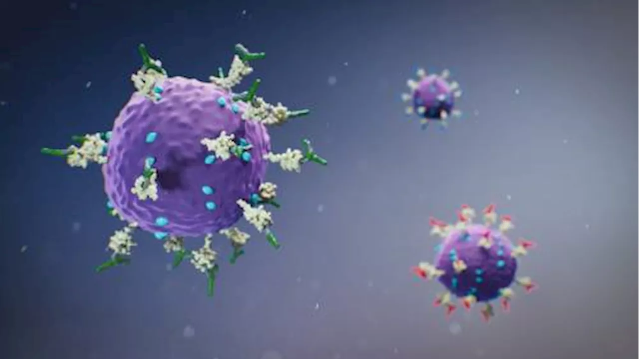 Could mRNA vaccines be used to combat other diseases like cancer?