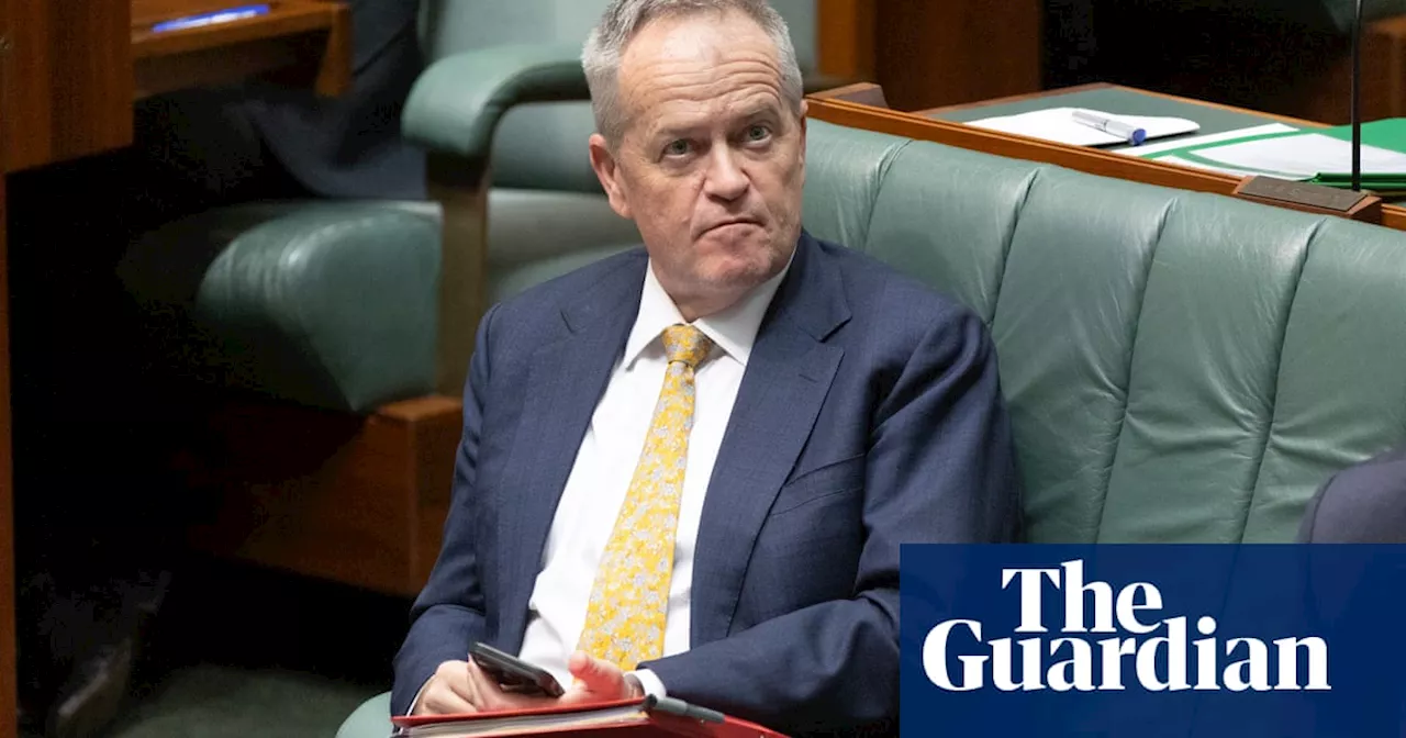 Bill Shorten accuses Greens of NDIS misinformation as he tries to reassure participants over new laws