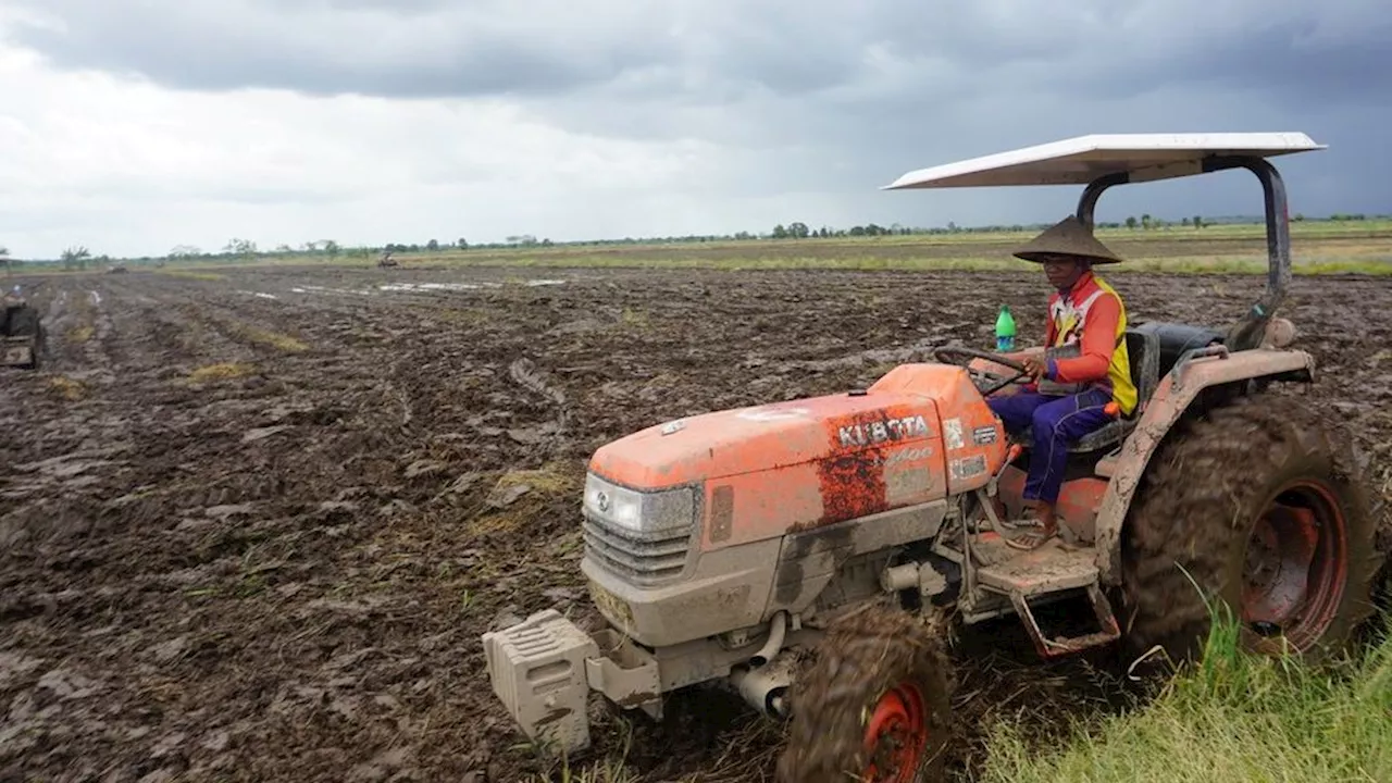 Hujan Bantu Kalteng Hadapi Kekeringan