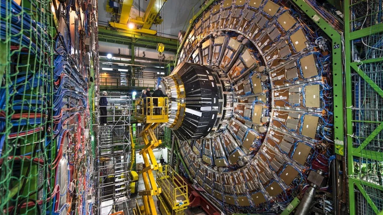 New bosons: CERN’s anomalies could bring us closer to novel particles