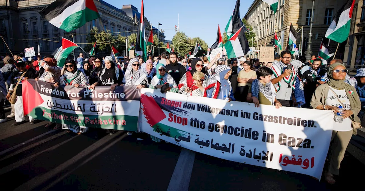 Pro-Palestinian marchers tell of arbitrary violence by Berlin police