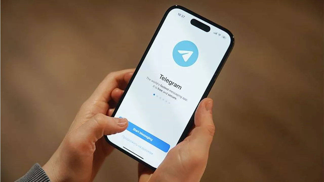 Адвокат не исключила утечку данных пользователей Telegram из-за задержания Дурова