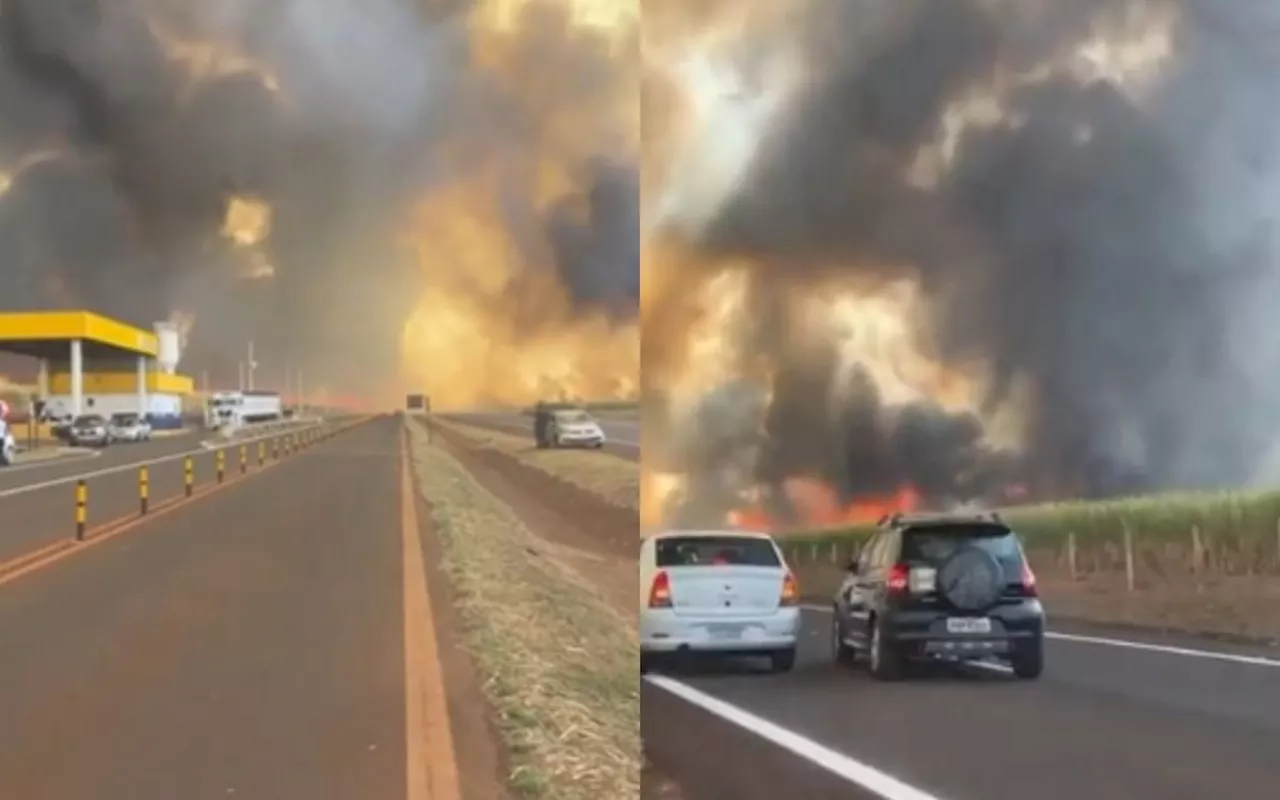 Incêndios em SP: governo anuncia pacote de medidas para atender produtores afetados