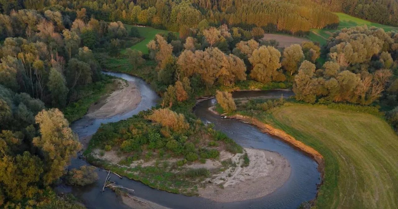 Lafnitz: Ein Grenzfluss als Vorbild in Sachen Klimaschutz