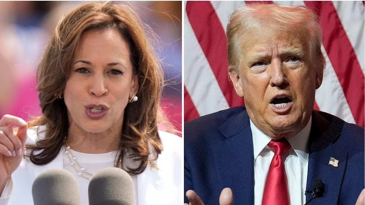 Poll shows Harris gets boost when voters think about race, gender of candidates