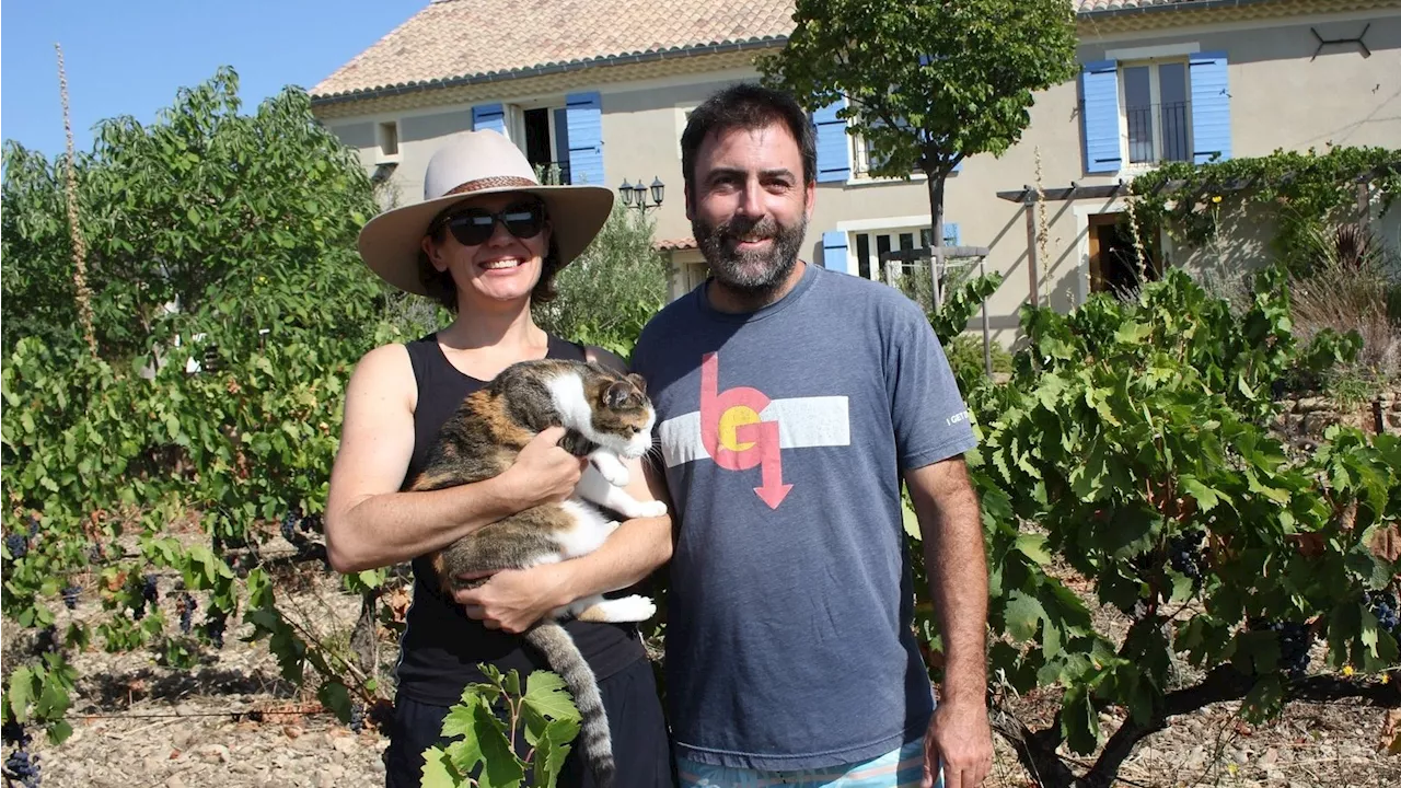 A Sainte-Cécile-les-Vignes, au domaine Rouge Bleu, la vigne reprend des couleurs