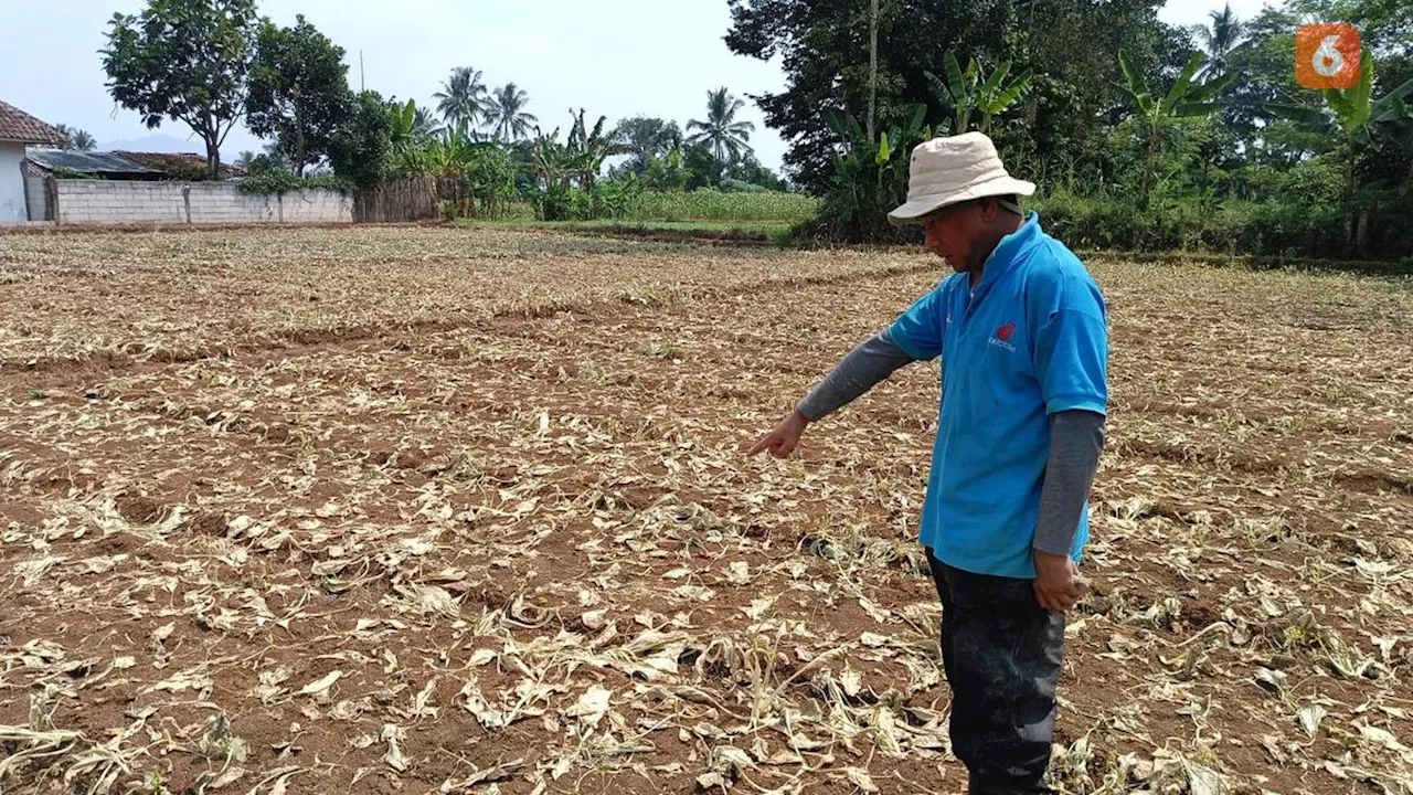 Pamsimas Bakal Mengatasi Kekeringan di Bangkalan Akibat Kemarau