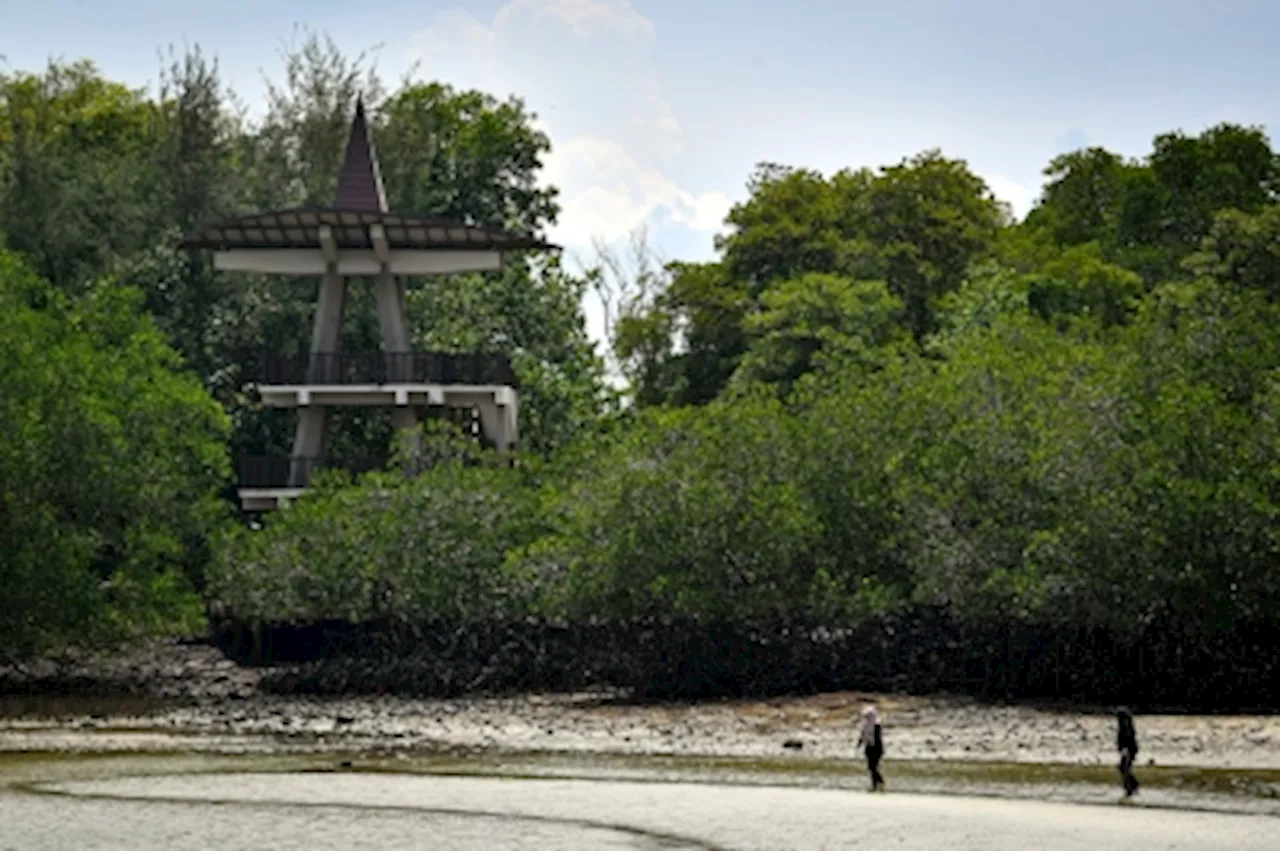 Formerly a bird migration spot, Pulau Burung offers Port Dickson's secret Swedish vibe