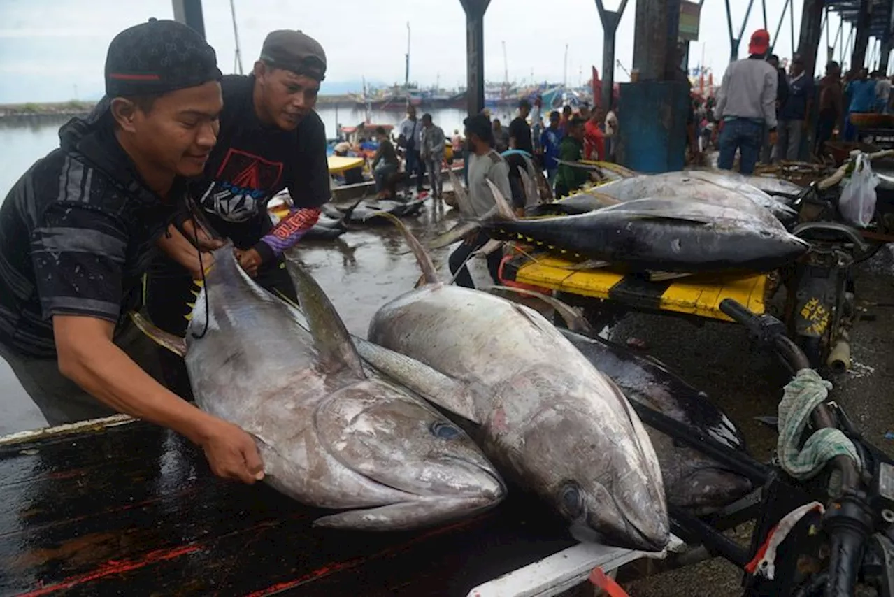 Ketua Komisi IV DPR RI Tekankan Kolaborasi untuk Majukan Industri Perikanan