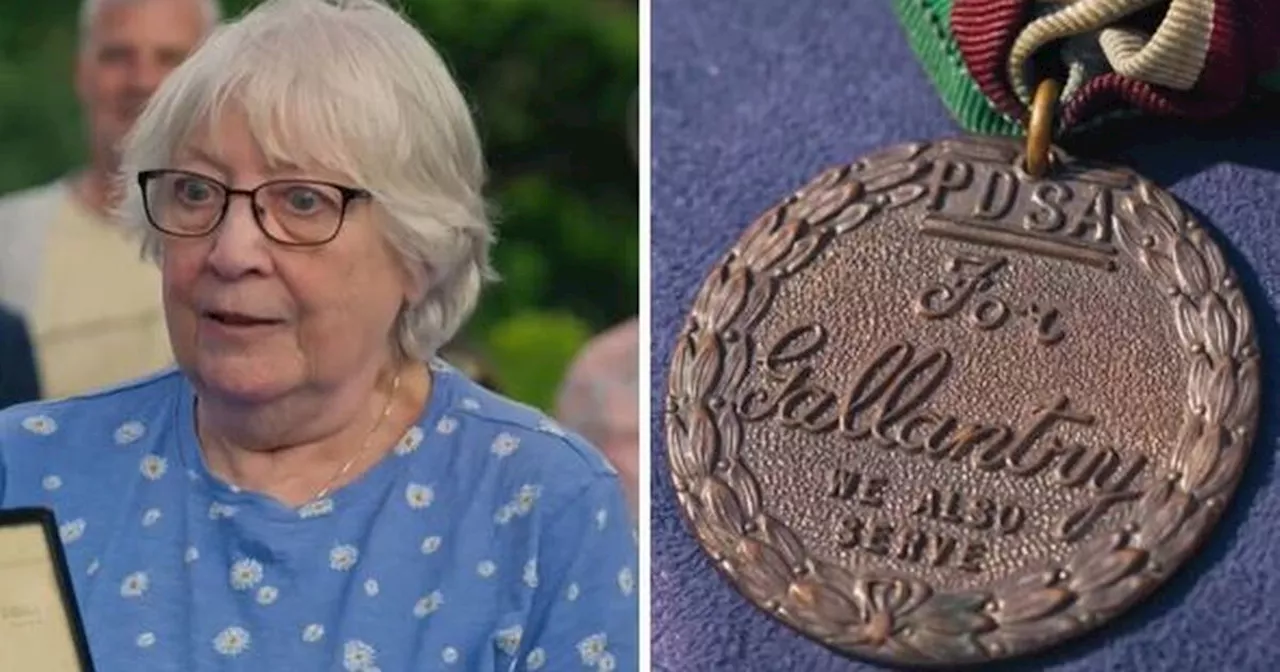 Antiques Roadshow guests gobsmacked at price of pigeon's war medal