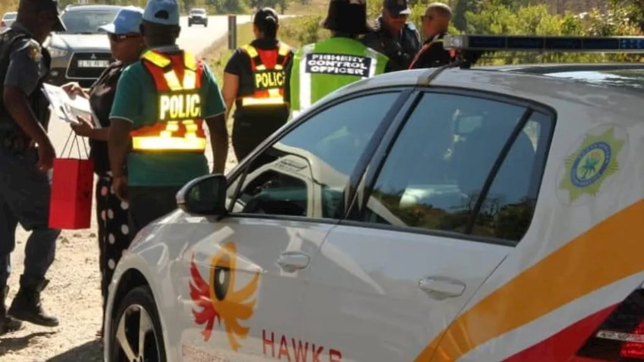 Hawks arrest 673 people in high-profile cases, with the most in Gauteng and KZN