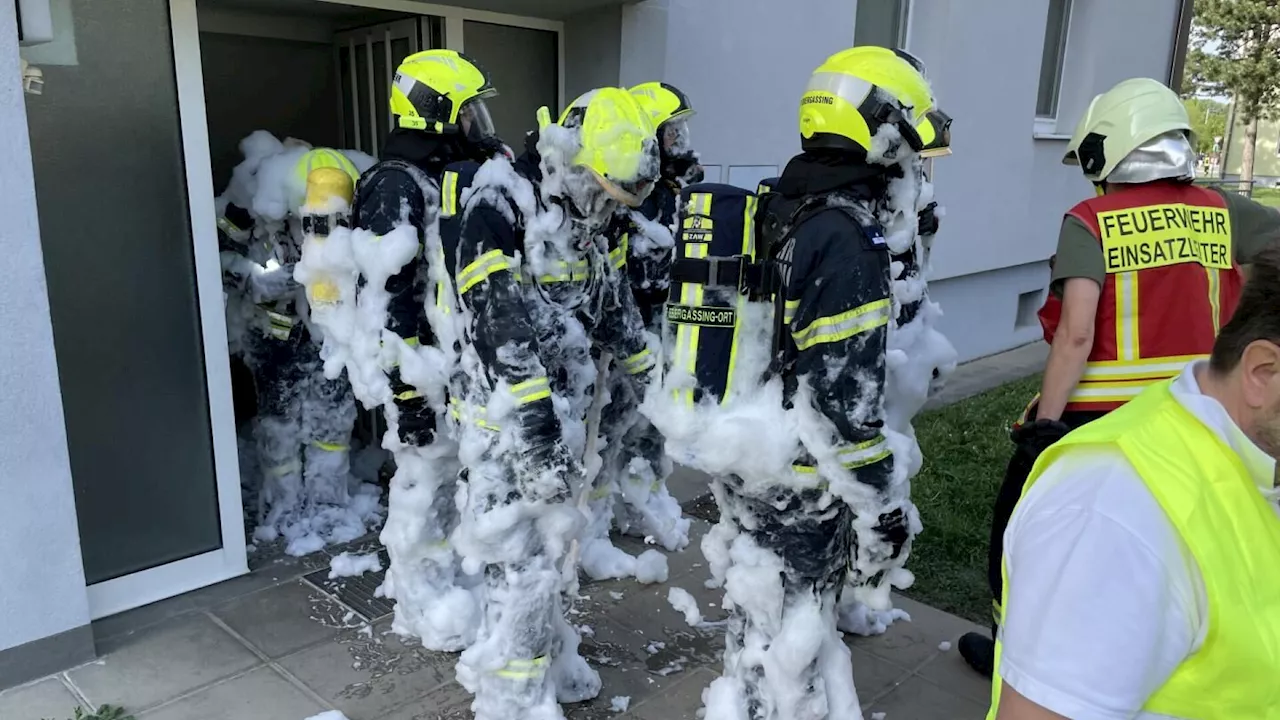 Nach zwei Keller-Bränden in Gramatneusiedl: Brandstifter vor Gericht