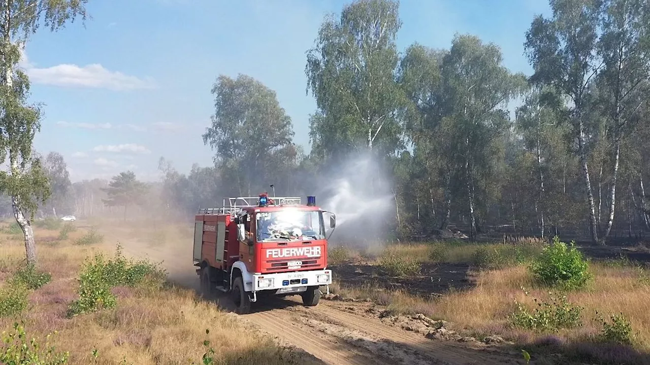 Berlin & Brandenburg: Bisher weniger Waldbrände in Brandenburg