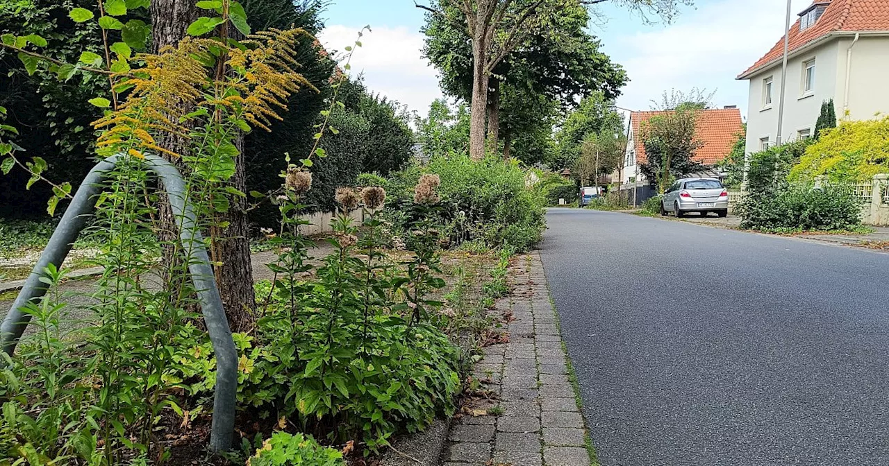 Statt städtischem Kahlschlag: Mehr „Unkraut“ in Bünde wagen