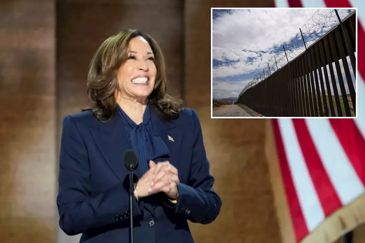 Border crisis could sink Kamala Harris' White House bid: ex-NY governor