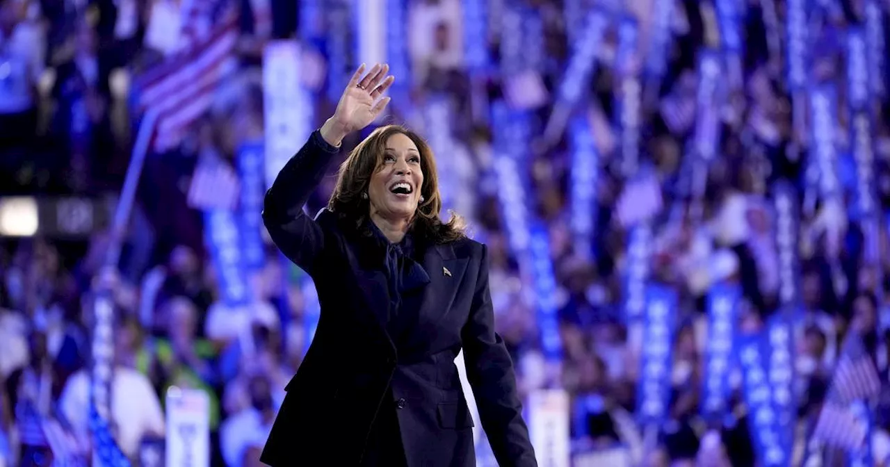 Kamala Harris sammelt in 4 Wochen 540 Millionen Dollar Spenden ein