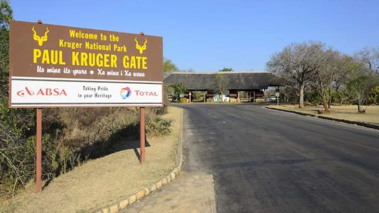 SANParks embarks on Kruger National Park infrastructure renovations - SABC News