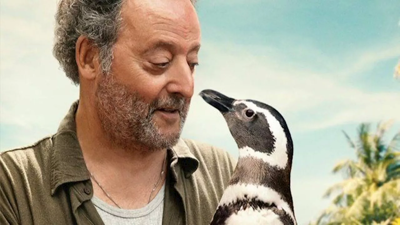 Brasileiro e pinguim: amizade inusitada ganha as telonas de Hollywood