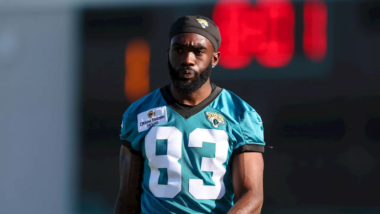 Jaguars Release Former Pittsburgh Steelers WR