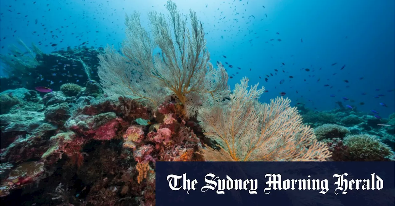 Carbon storage sets approval for Woodside’s Browse gas project back to square one
