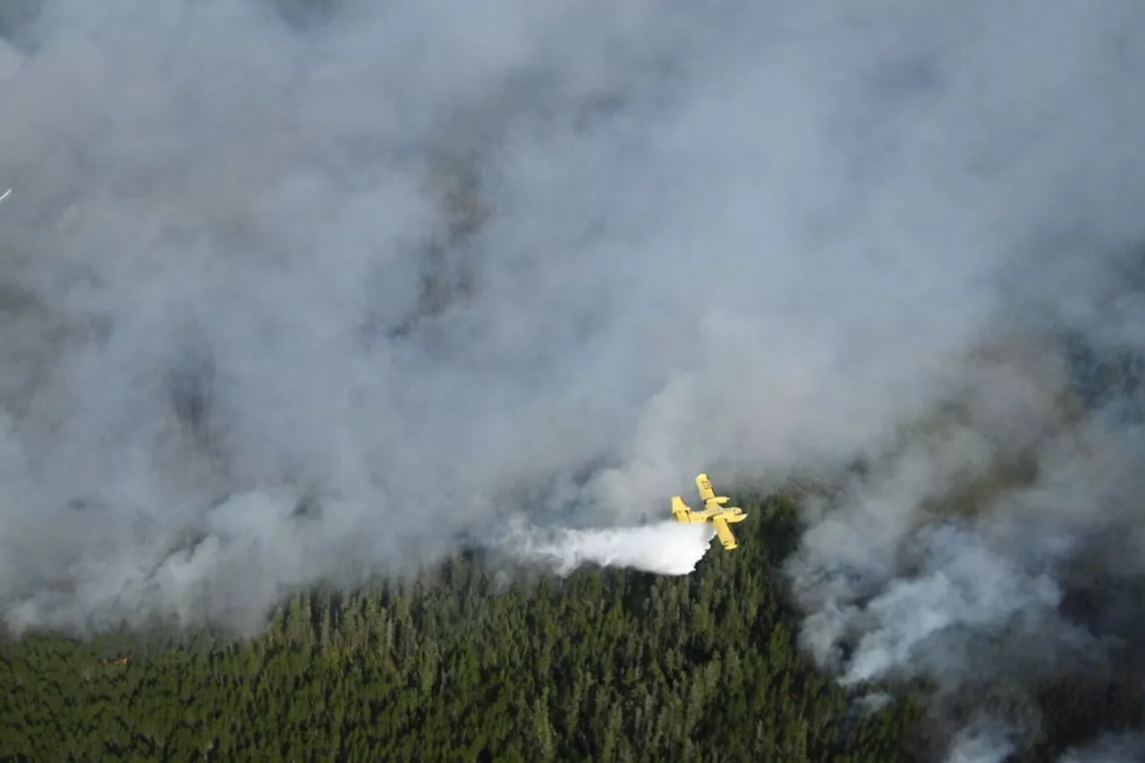 Small wildfire near Lake Superior shore called out same day