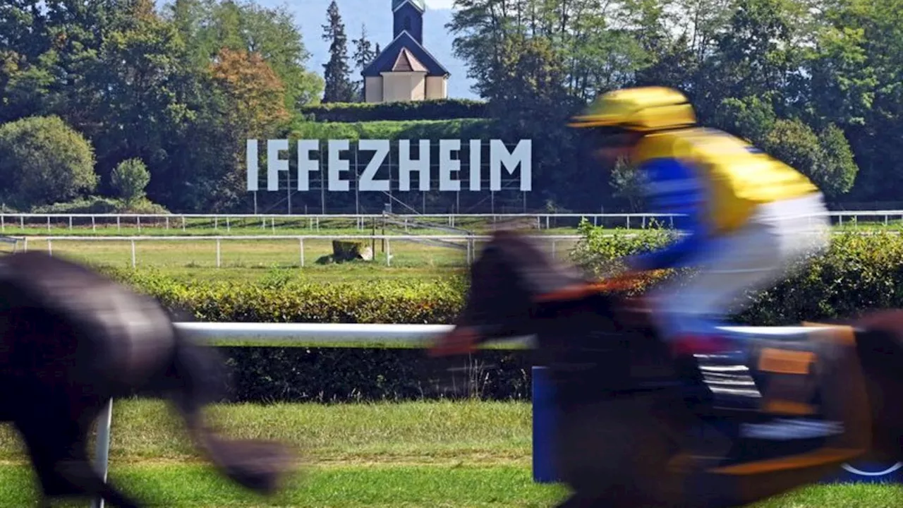 Pferderennen: Al Shabab Storm gewinnt Goldene Peitsche in Iffezheim