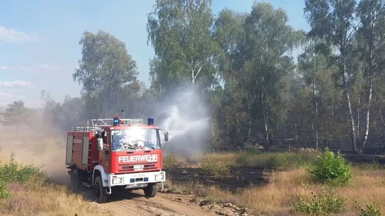 Umwelt: Bisher weniger Waldbrände in Brandenburg