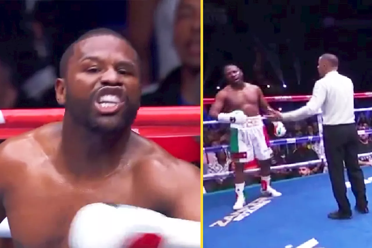 – Furious Floyd Mayweather kicks out referee during John Gotti III exhibition fight an...