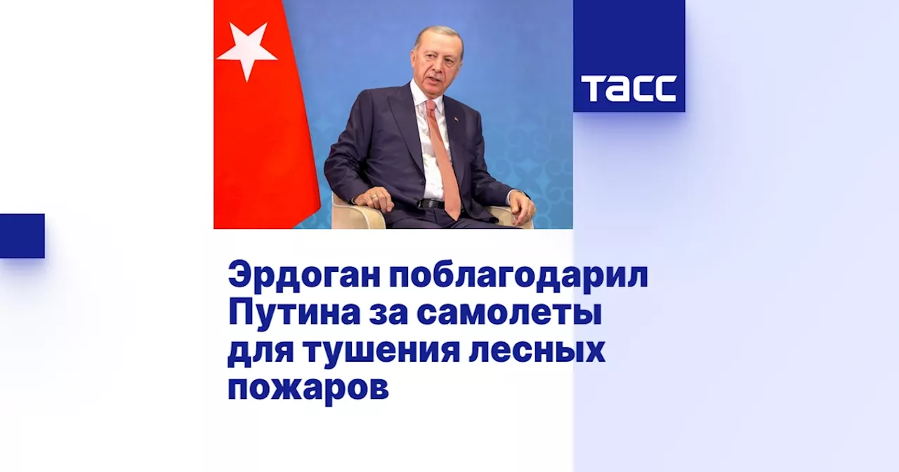 Эрдоган поблагодарил Путина за самолеты для тушения лесных пожаров