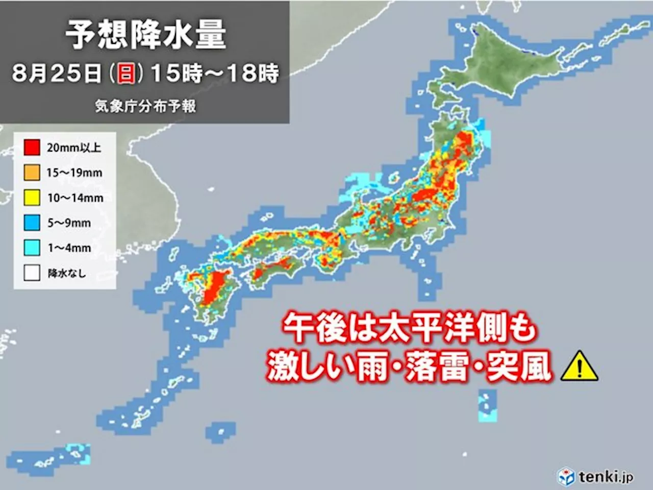 午前から日本海側で滝のような雨を観測 午後は関東など太平洋側でもゲリラ雷雨に注意(気象予報士 福冨 里香 2024年08月25日)