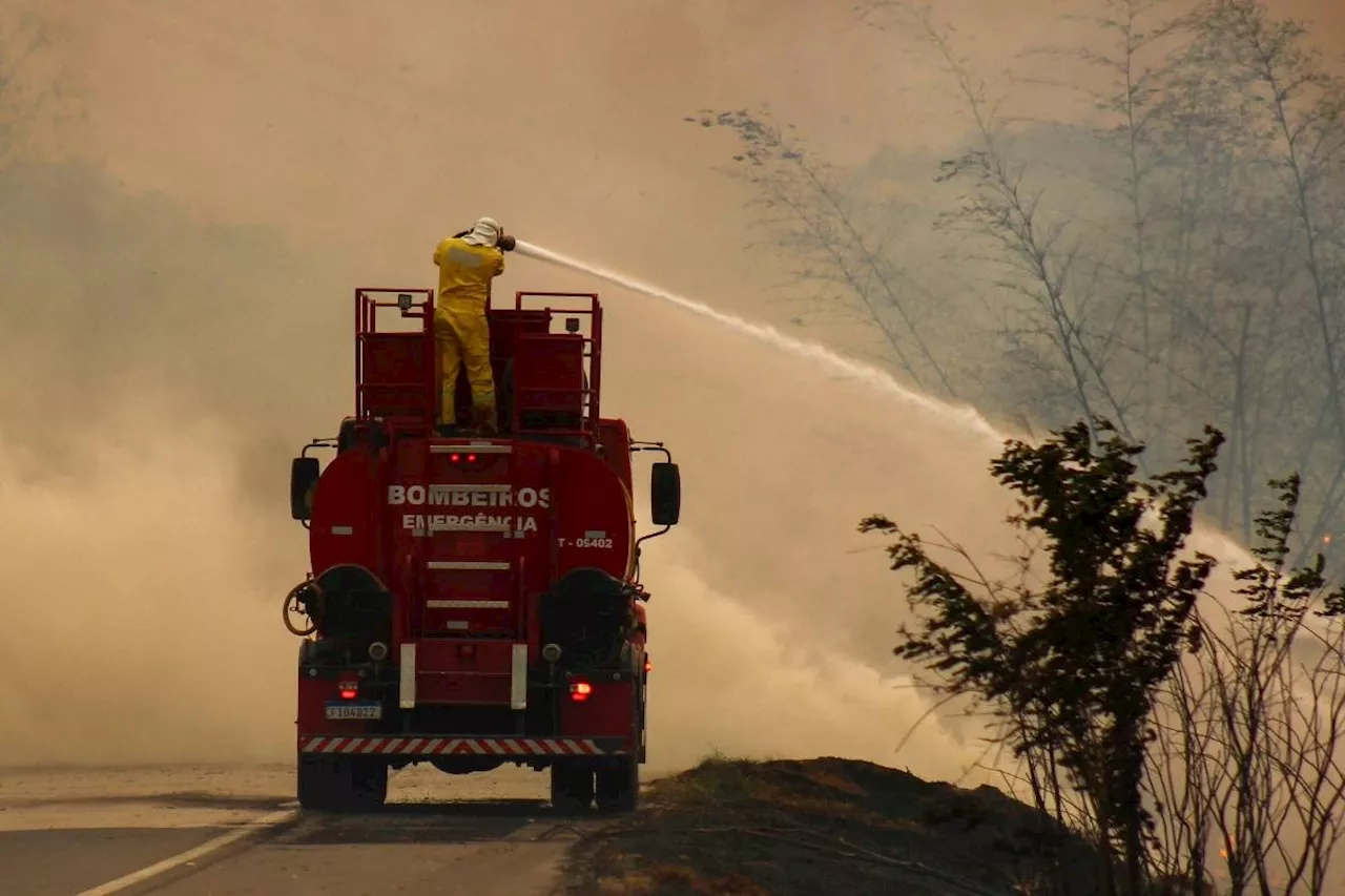 Wildfires rage in Brazil's cane fields