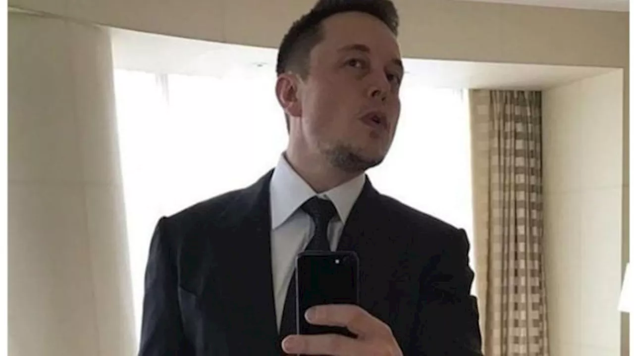 Elon Musk Culas