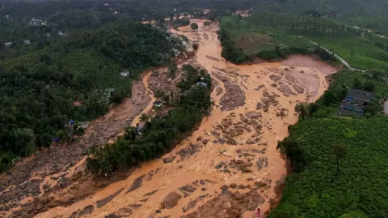 Wayanad Landslide: വയനാട് മുണ്ടക്കൈ ഉരുൾപൊട്ടലിൽ കാണാതായവർക്കായി വീണ്ടും തിരച്ചിൽ; ശരീരഭാഗങ്ങൾ ഡിഎൻഎ പരിശോധനയ്ക്ക് വിധേയമാക്കും