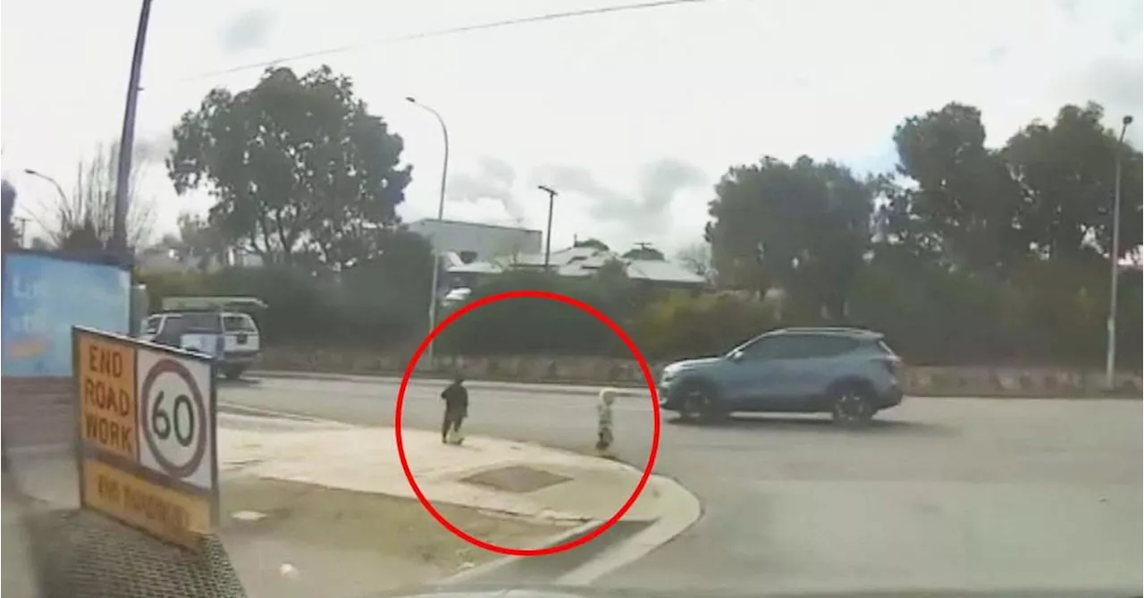 Footage shows kids wandering towards busy road in Adelaide after leaving daycare through hole in fence