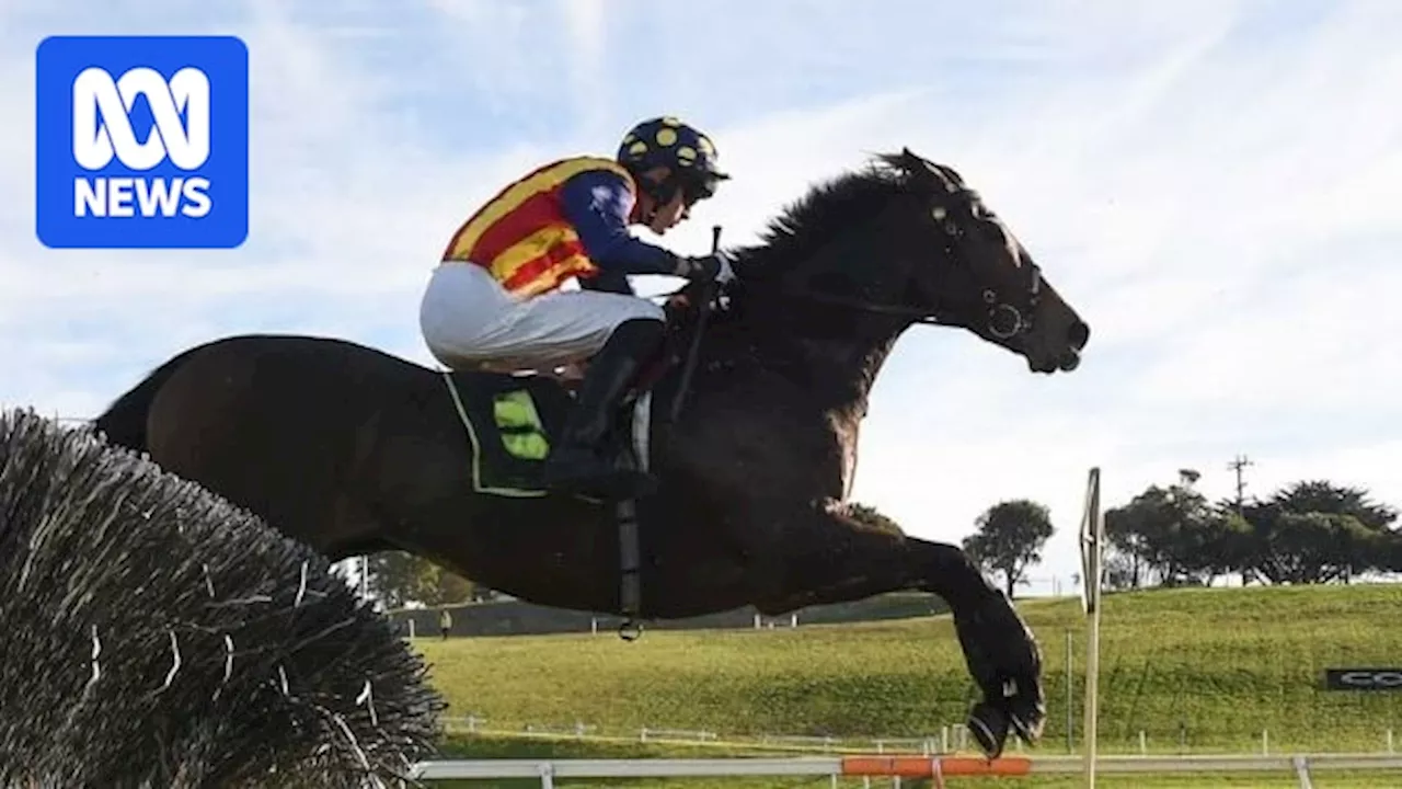 'Deadly day' at Victorian regional race meeting sees three horses put down and two jockeys injured