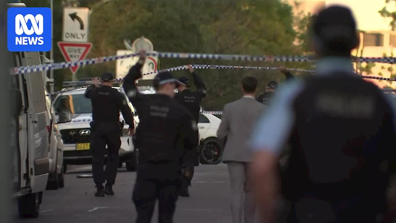 Sydney underworld figure Tarek Ayoub, known as the 'Angel of Death', killed in targeted Parramatta shooting