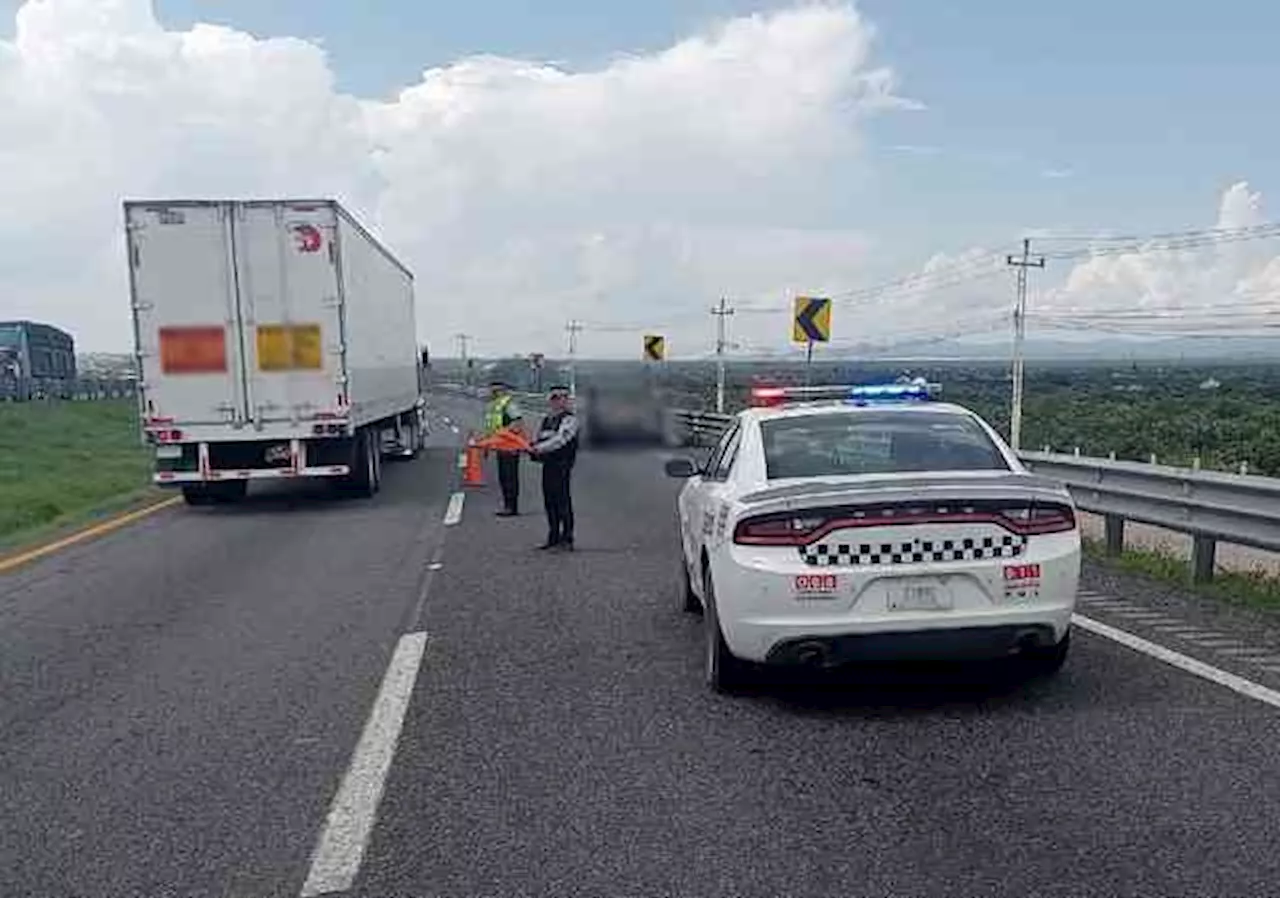 Advierte ONU “total impunidad” ante crímenes en carreteras de Veracruz