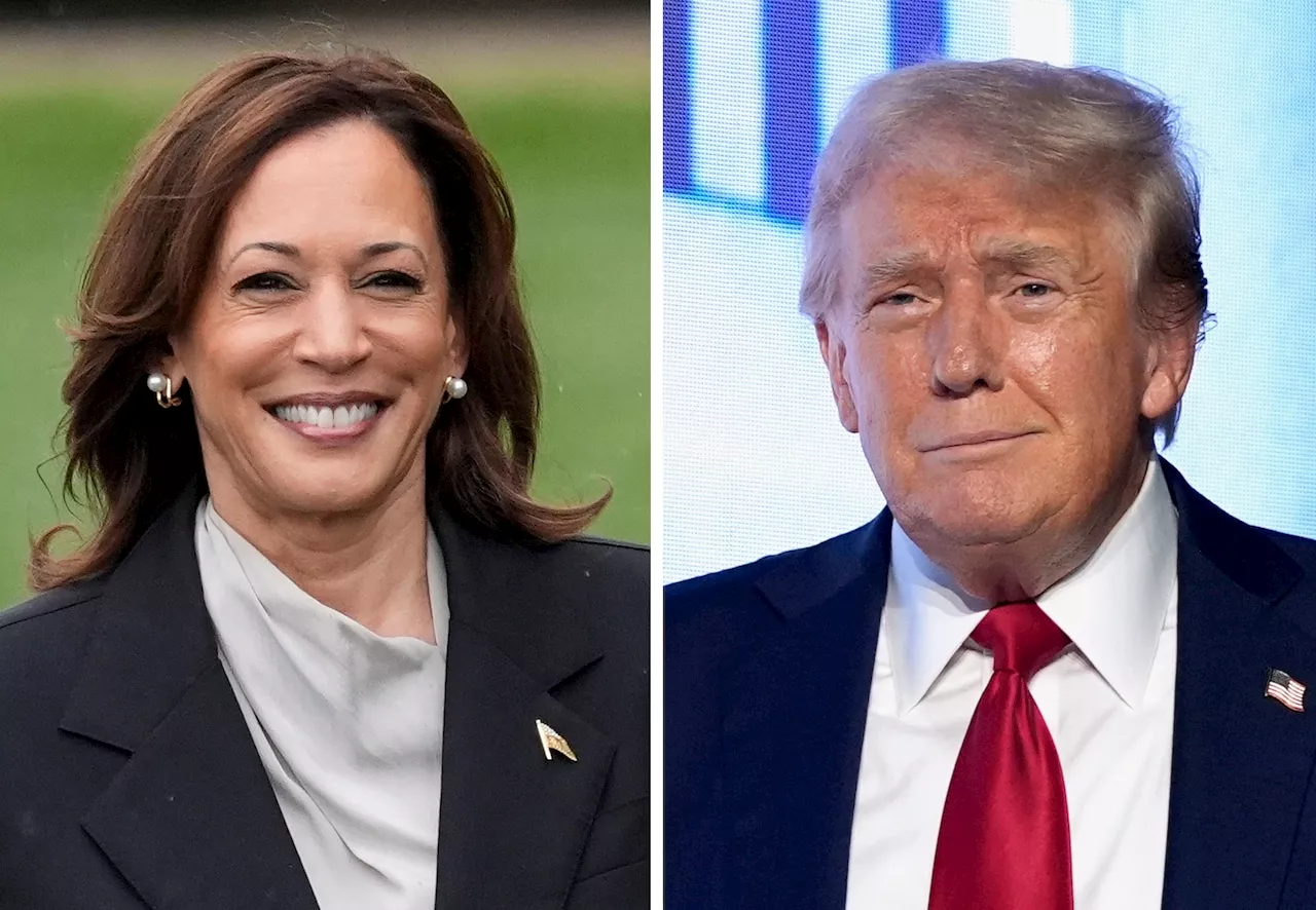 Harris vs. Trump presidential poll: Who is now leading in race for the White House?