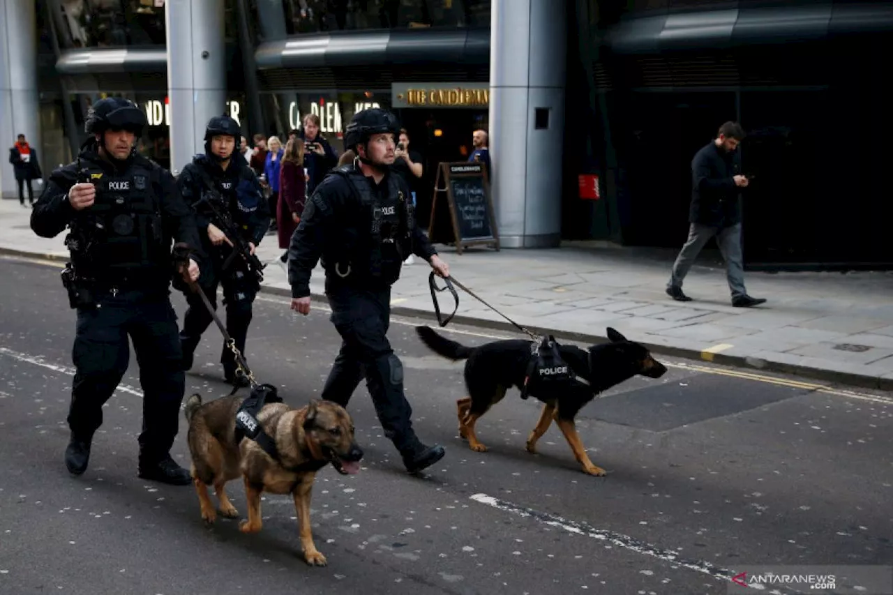 Tiga orang ditikam selama Karnaval Notting Hill di London