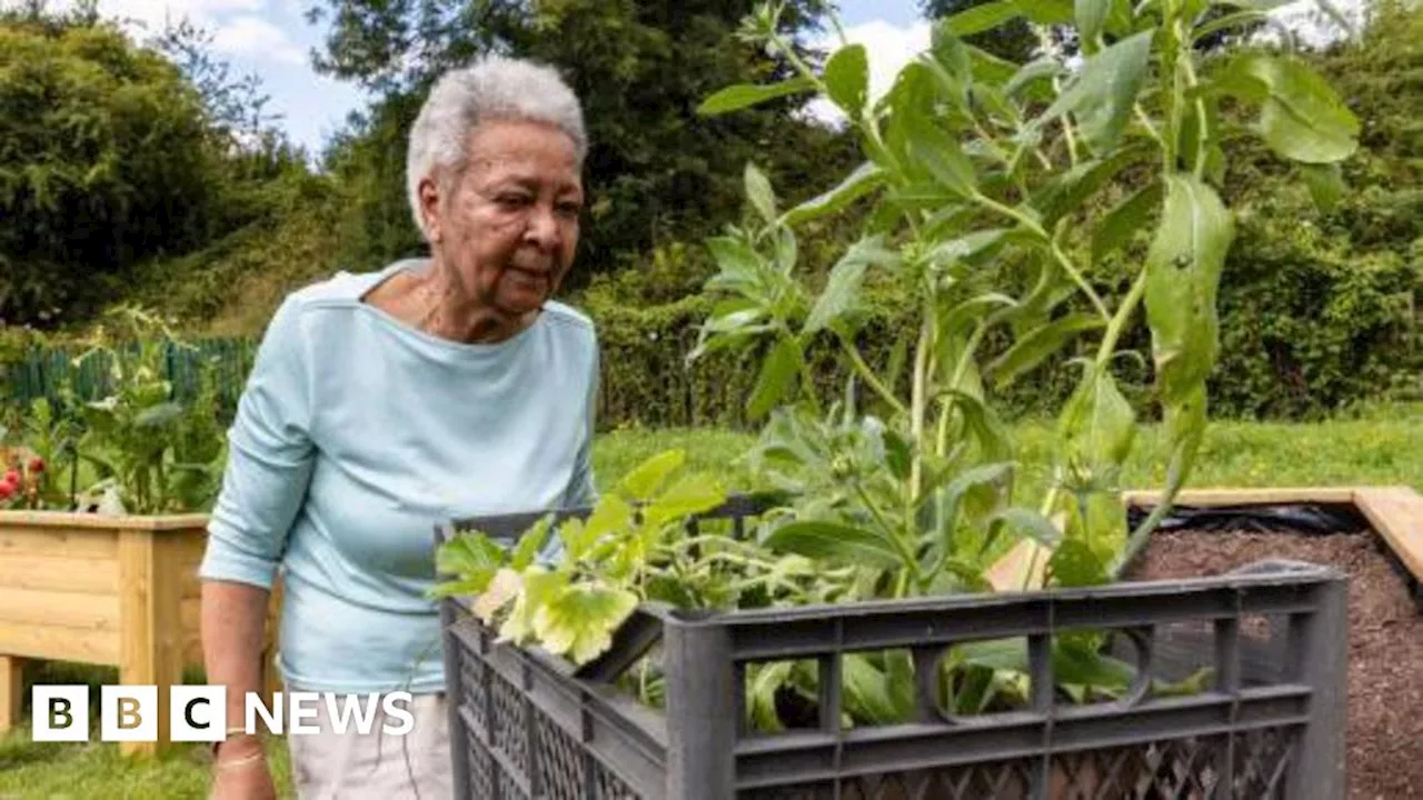 'Natural oasis' created to combat loneliness in Telford