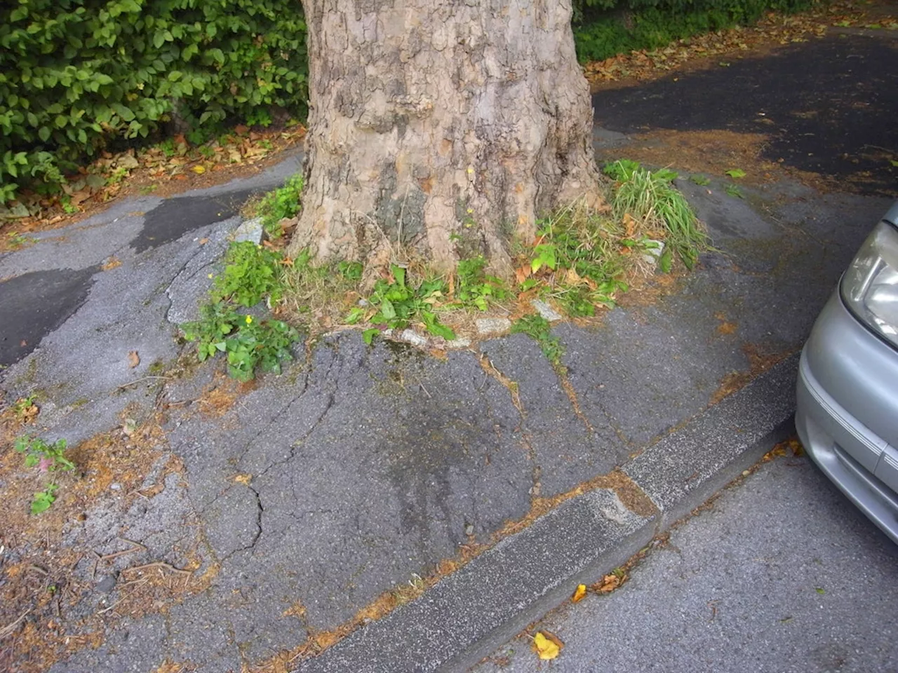 Friedrichshain-Kreuzberg: Ruhlsdorfer Straße wird umgebaut