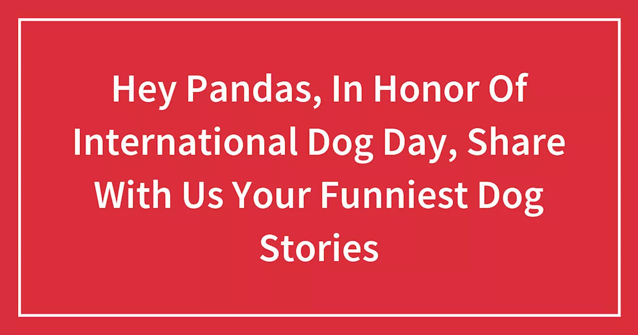 Hey Pandas, In Honor Of International Dog Day, Share With Us Your Funniest Dog Stories