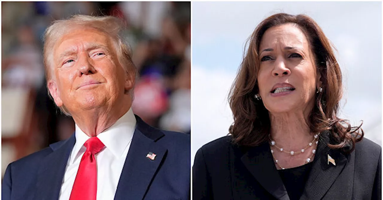 Echelon Insights Poll: Trump Maintains Lead over Harris in Head-to-Head Matchup