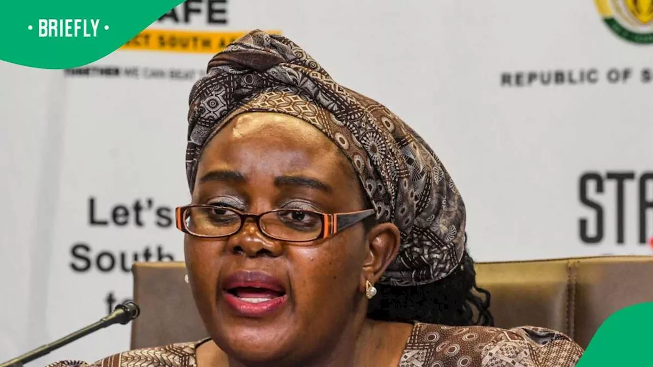 Human Settlements Minister Mamoloko Kubayi Worried About Rate of Home Loan Application Rejections