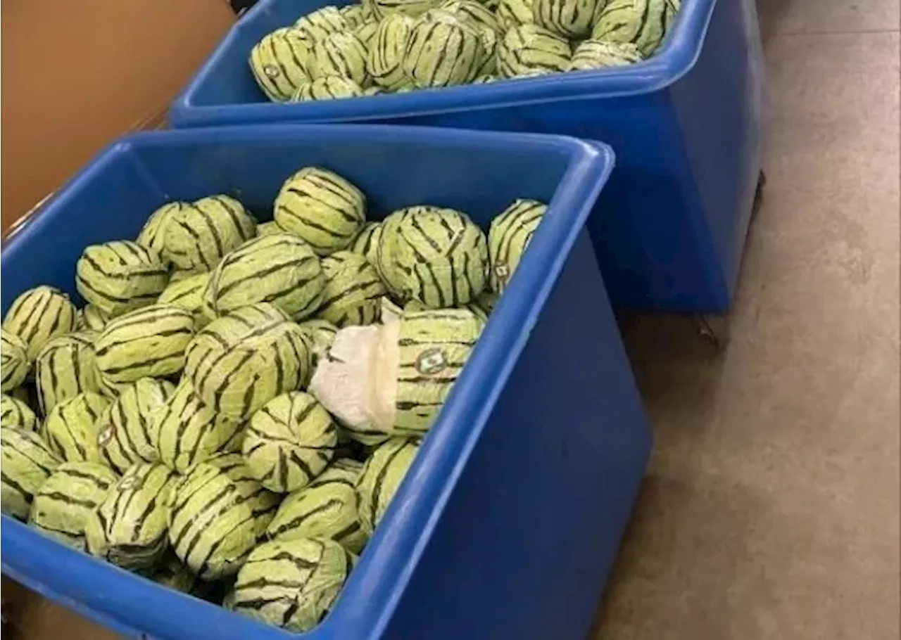 Customs officers in California find $5 million worth of meth disguised as watermelons