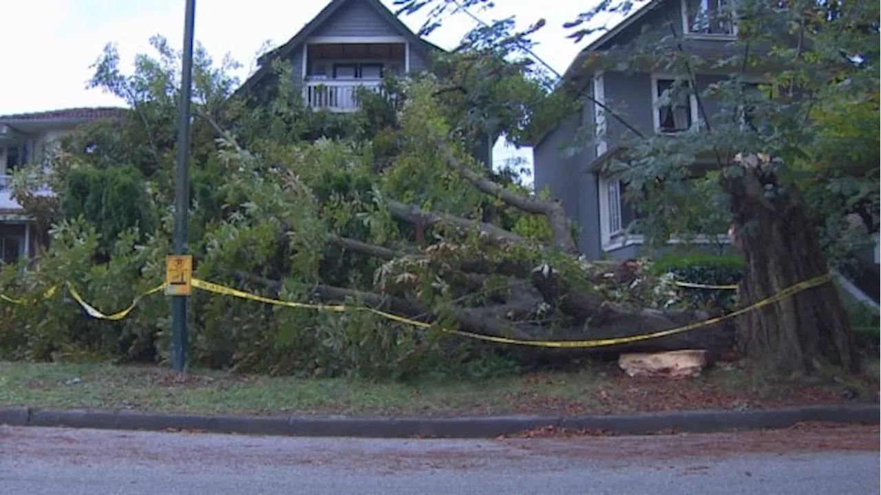 Rainfall records broken across southern B.C. over the weekend