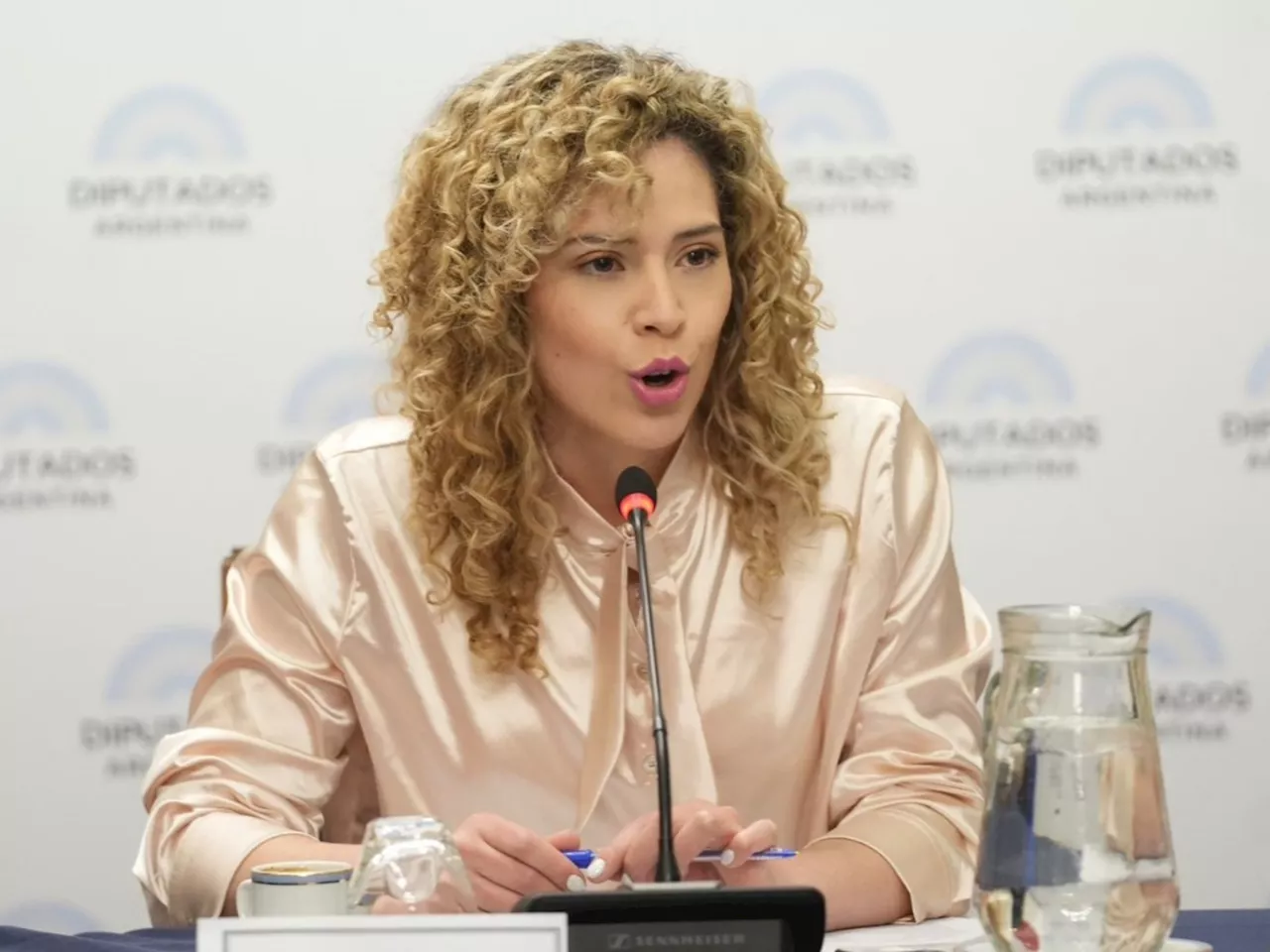 Lourdes Arrieta reveló proyectos de diputados de La Libertad Avanza para 'obligar a los jueces a dejar en libertad a genocidas”